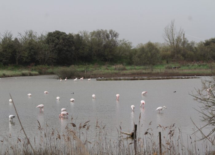 Itinerario di 3 giorni sul Delta del Po tra natura e cultura